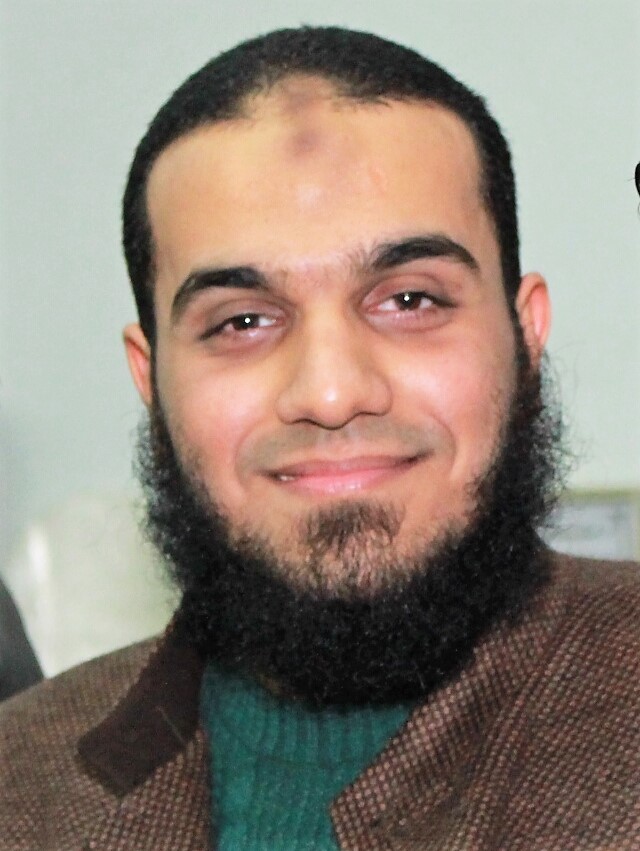 محمد الحناوي