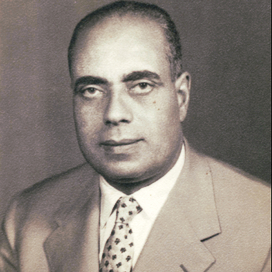 أحمد الحوفي