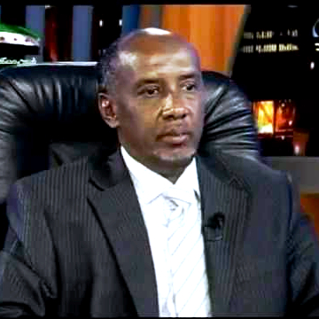 محمد وقيع الله أحمد